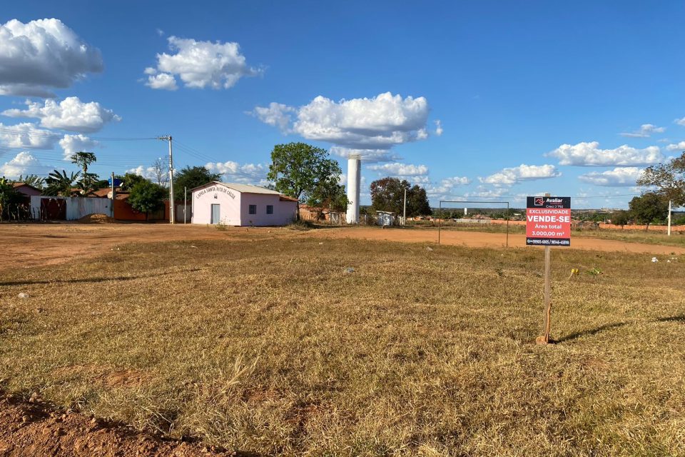 WhatsApp Image 2025-03-11 at 16.30.10 (1)