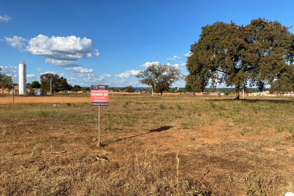 WhatsApp Image 2025-03-11 at 16.30.10