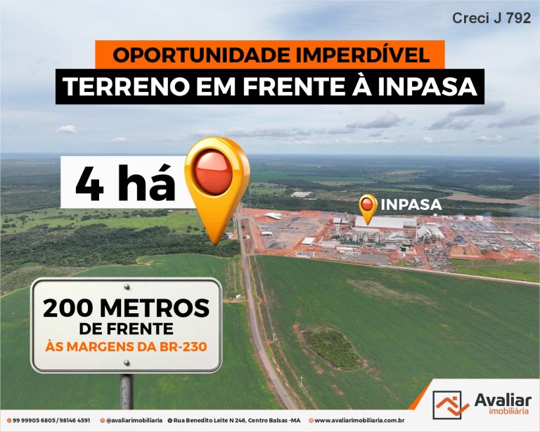 ÁREA AS MARGENS DA BR 230