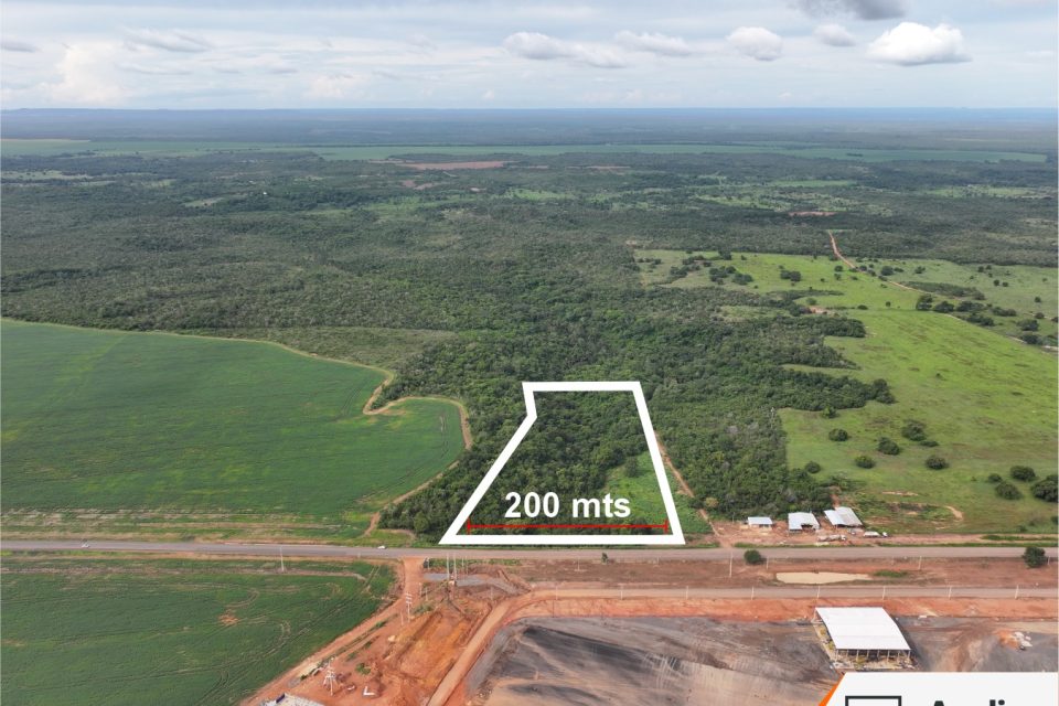 WhatsApp Image 2025-03-11 at 16.45.11 (1)