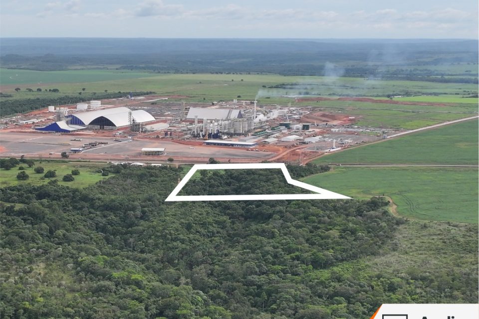 WhatsApp Image 2025-03-11 at 16.45.12